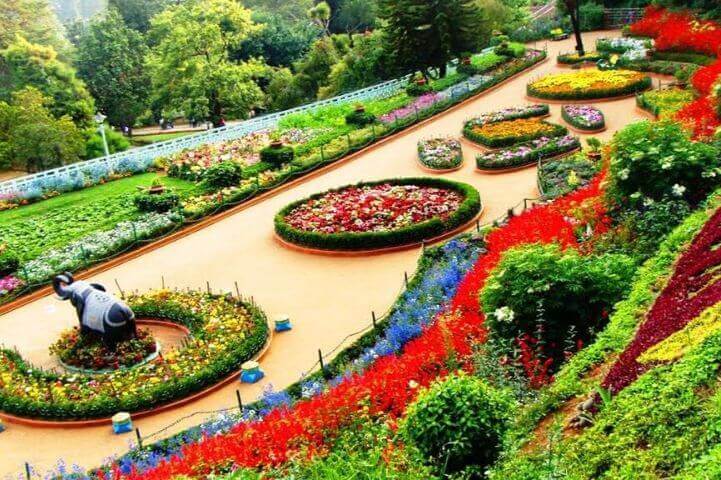 Rose Garden Ooty